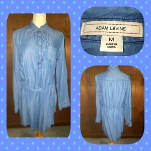 Adam Lavine Womans Denim Dress